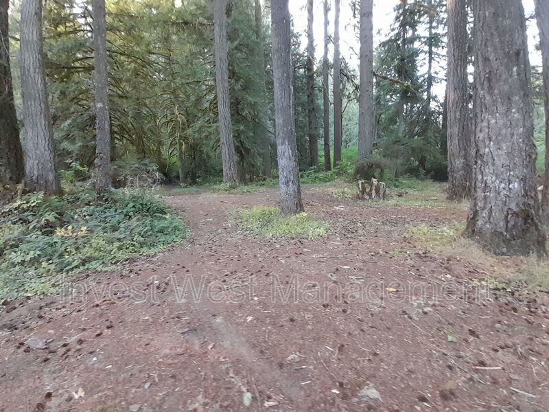 Country Setting Single Wide Manufactured Home Silverbrook RV Park property image